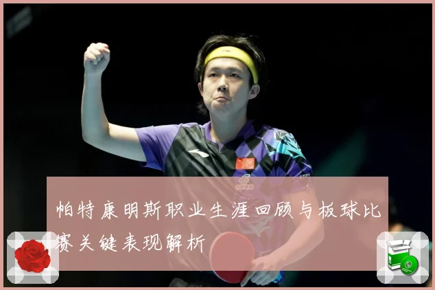 帕特康明斯职业生涯回顾与板球比赛关键表现解析