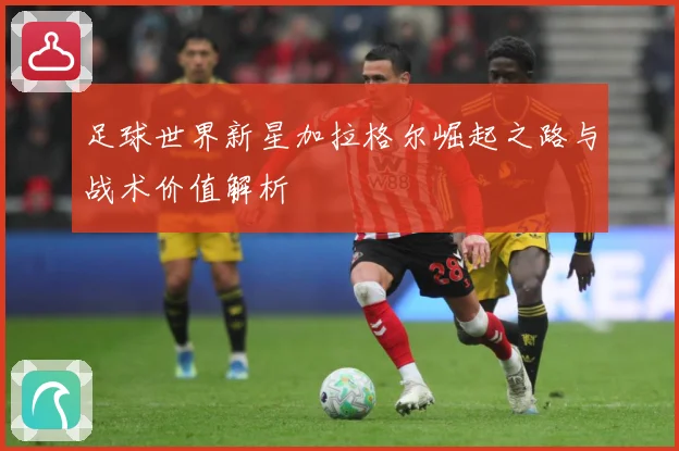 足球世界新星加拉格尔崛起之路与战术价值解析