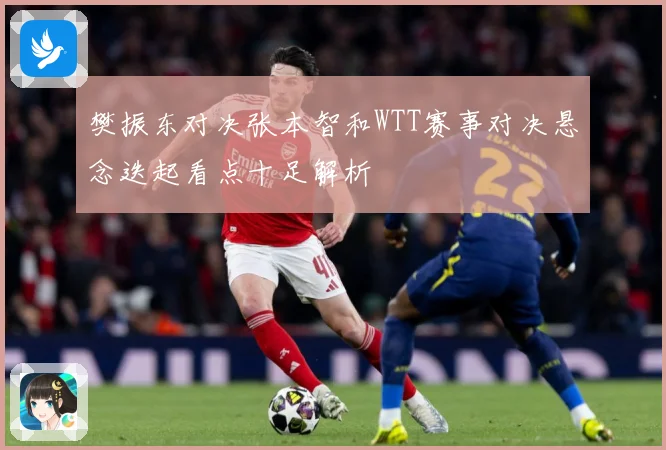 樊振东对决张本智和WTT赛事对决悬念迭起看点十足解析