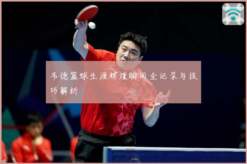韦德篮球生涯辉煌瞬间全记录与技巧解析