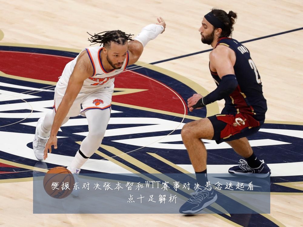 樊振东对决张本智和WTT赛事对决悬念迭起看点十足解析